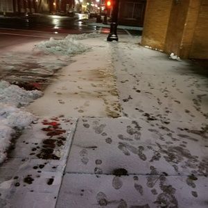 Meet your Posher, Jesse